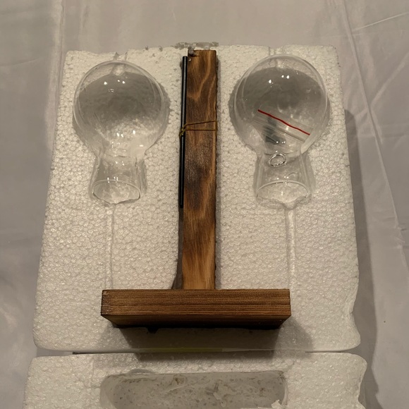 BACK IN STOCK! | Hydroponic Vase - Picture 3 of 3